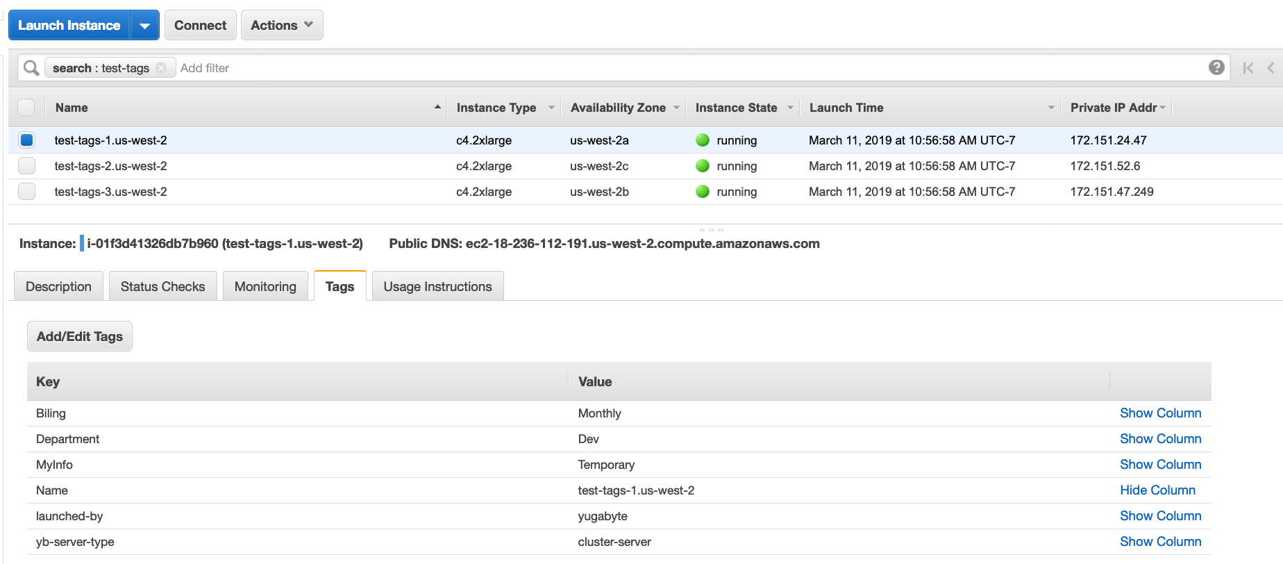 Instances with tags Instances with tags
